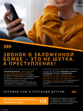 lzheminirovanie-plakat