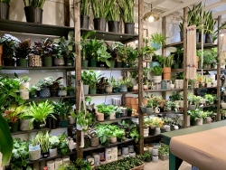 ac2ab98abd28decb1af20f29f